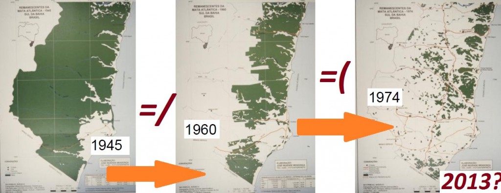 BA 101 - BRASIL PERDIDA DE HABITAT